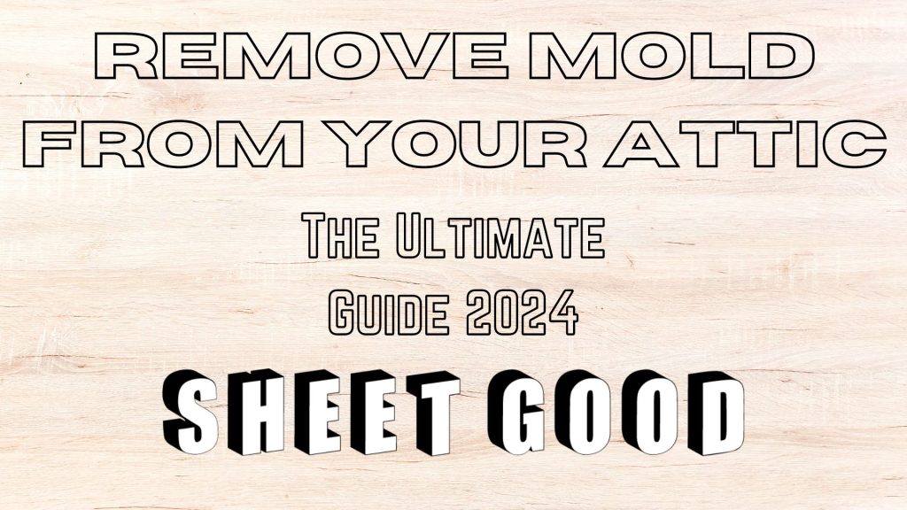 Remove Mold from Your Attic The Ultimate Guide 2024 Sheet Good